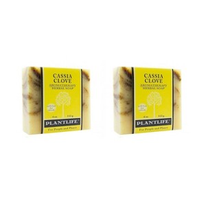 Plantlife Cassia Clove Bar Soap – Moisturizing, Soothing, Handcrafted, Plant-Based – Made in California, 4oz - 1 of 4
