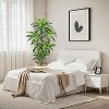 Artificial Brazilian Wood Tree – Realistic Indoor Fake Plant for Bedroom, Bathroom, Home Office, Entryway & Living Room Décor - 3 of 4