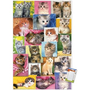 Trends International Keith Kimberlin - Kittens Collage Unframed Wall Poster Prints - 1 of 4