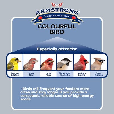 Armstrong Colourful Bird Seed Blend for Finches, 8 Pounds