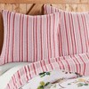 Joybirds Holiday Euro Sham Set of 2 red - Thatch Home - 2 of 3