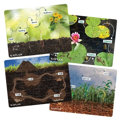 Kaplan Early Learning STEM Learning Realistic Animal and Plant Life Cycle Floor Puzzles - Set of 4