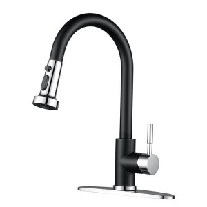 WOWOW Single-Handle Pull Down Sprayer Kitchen Faucet - 1 of 4