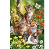 Briarwood Lane Spring House Flag 40x28 For Outdoor Kittens in Garden For Spring House Flag - 3 of 4
