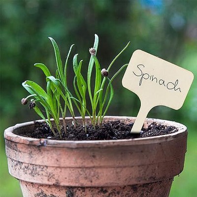 Natural Wooden Plant Tags with Black Marker Pen - 60 Pieces