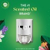 Air Wick Scented Oil Refills - Lavender & Chamomile - 2 of 4