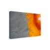 Trademark Fine Art - Angyalosi Beata Toxicolors Matted Framed Art - 2 of 4