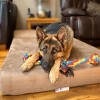 Big Barker 7" Orthopedic Dog Bed - Headrest Edition - 3 of 4