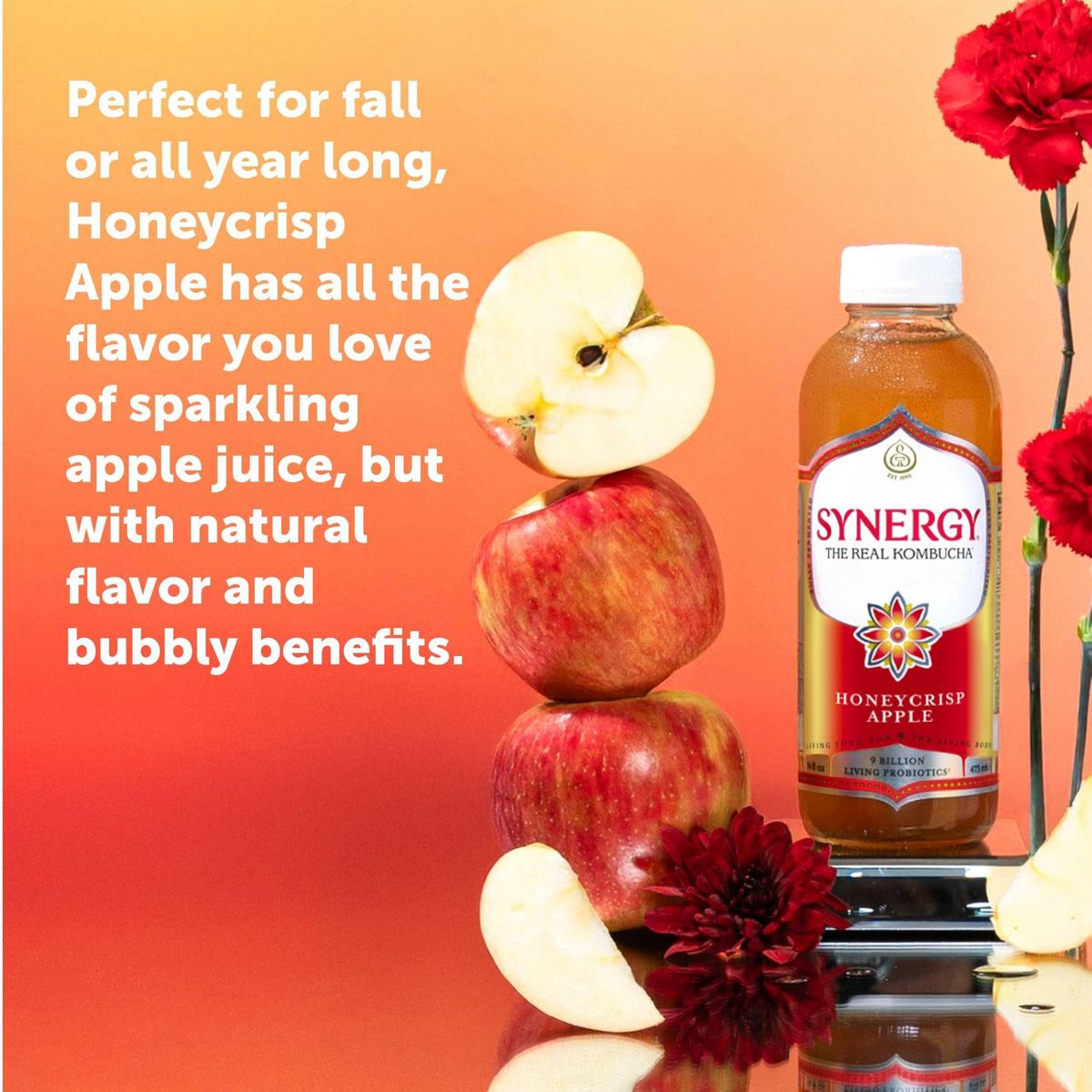 GT's Honeycrisp Apple Kombucha - 16 fl oz: Organic, Gluten-Free, Vegan - thumbnail 3