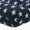 48" x 18" Outdoor/Indoor Tufted Bench/Swing Cushion Macey Americana Blue - Pillow Perfect - 2 of 4