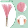Unique Bargains Dried Plants Artificial Durable Small Fluffy Pampas Grass for Home, Office, Party 20 Pcs 21.7 Inch - 2 of 4
