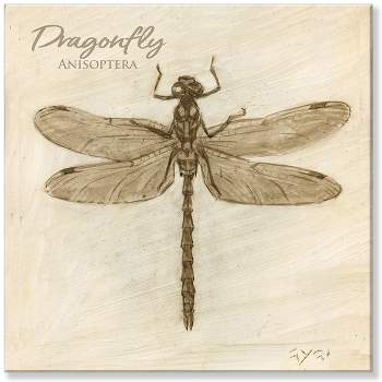 Sullivans Darren Gygi Sepia Dragonfly Giclee Wall Art, Gallery Wrapped, Handcrafted in USA, Wall Art, Wall Decor, Home Décor, Handed Painted
