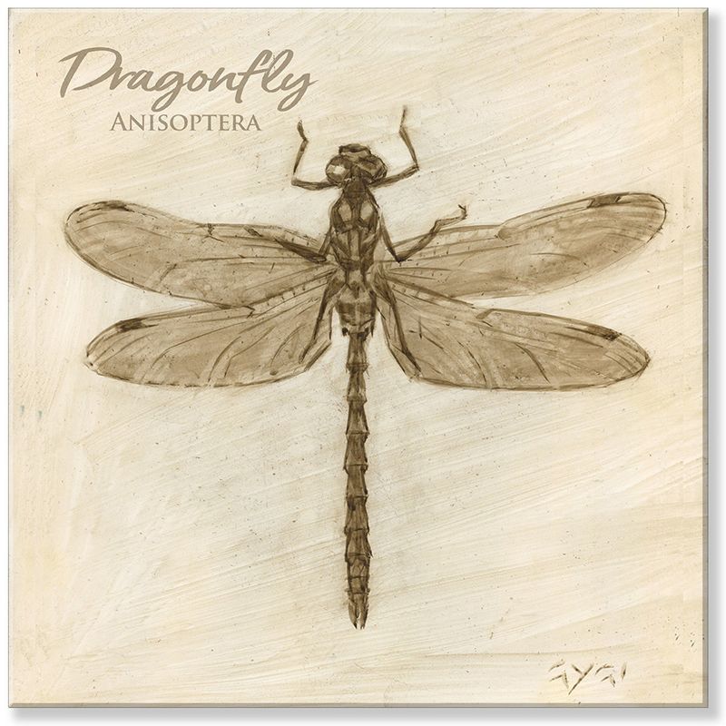 Sullivans Darren Gygi Sepia Dragonfly Giclee Wall Art, Gallery Wrapped, Handcrafted in USA, Wall Art, Wall Decor, Home Décor, Handed Painted, 1 of 5