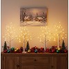 White Birch Tree Indoor Christmas Decor, 4 Pack Battery Operated/USB Lighted Tabletop Money Tree Lamp Led Lights - 3 of 4