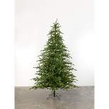 Sullivans 7' 5" Pine Artificial Tree 7'5"H Green