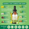 GreenPeople Mullein Leaf Extract Drops - 13-in-1 Botanical Extract Blend for Wellness Support -  Tincture, 2 fl oz (Apple Flavor) - 2 of 4