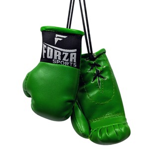 Forza Sports Mini Boxing Gloves - 1 of 2