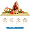 Frndly by Paper Love 3D Pop Up Greeting Card, Autumn Gnome, for Fall, Thanksgiving, Thinking of You, Sympathy, All Occasions - 8" x 6" Cover - 4 of 4