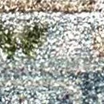 beige, light blue, orange