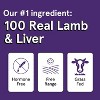 Real Meat Air-Dried Free-Range All-Natural Jerky Treats (Lamb & Liver, 4 oz) - 2 of 4