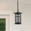 Osprey 8" Outdoor Pendant - PLT4030 - Black - Safavieh - 3 of 4
