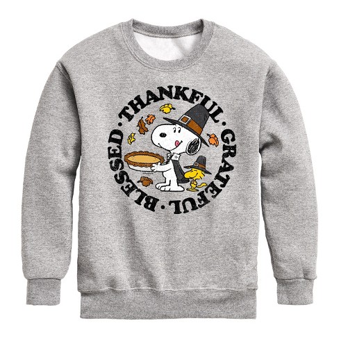 Boys' - Peanuts -  Graphic Long Sleeve Fleece Sweatshirt - image 1 of 4