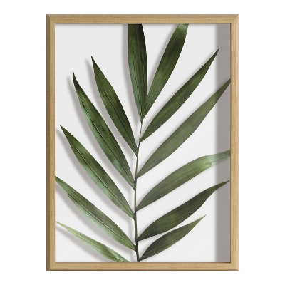 Blake Botanical Natural Framed Glass Wall Art, 18x24