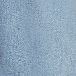 arctic indigo