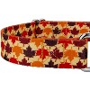 Country Brook Petz Martingale Dog Collar - Awesome Autumn Collection - 4 of 4