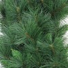 Northlight Mixed White Valley Pine with Pine Cones Artificial Christmas Wreath - 48" - Unlit - image 2 of 3