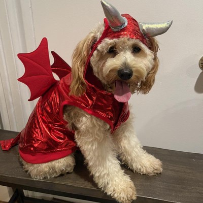 Halloween Red Metallic Devil Dog Hoodie Costume - L - Hyde & Eek! Boutique™  : Target