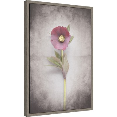 Vintage Hellebore Study VI Framed Canvas Wall Art
