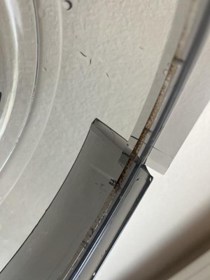 Guest review image 1 of 2, zoom in