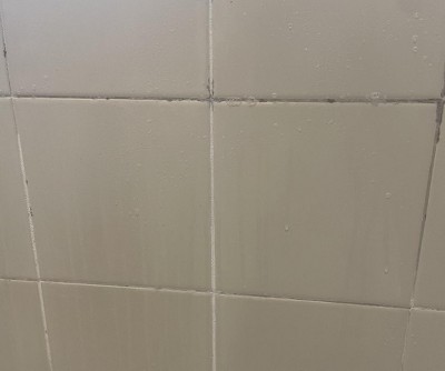 Guest review image 1 of 1, zoom in