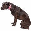 Angel Sar 360° Breathable Mesh Dog Collar, Dual-Sided Adjustable Nylon-Free Collar with Stainless Steel D-Ring, Pink - 3 of 4