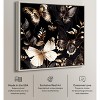 Art Remedy Butterfly Departure Elegant Butterfly Wall Art Framed - 4 of 4