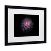 Trademark Fine Art - Brian Carson Backyard Flowers 53 Matted Framed Art - image 3 of 4