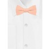 Jacob Alexander Young Boys' Solid Color Pre-Tied Adjustable Banded Bow Tie - 2 of 4