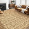 Modern Braided Printed Large Rug Washable Stain Resistant Indoor Carpet with Non-Slip Backing Soft Carpet Nursery Apartment - 3 of 4