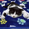 LOVEVOOK Pet Blanket 1 Pack 3 Dog Blanket, Soft Fluffy Washable Pet Cat Blankets, Reversible Elephant Paw Print for Dog Kennels Beds, Sofas - 2 of 4