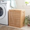 Jacy Laundry Basket with Liner - STG1901 - Natural/Beige - Safavieh - 2 of 4