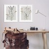 Stupell Industries Delicate Wildflower Herb Sprigs 2pc Framed Giclee Art Set, White, 24" x 30" - 2 of 4