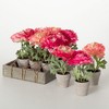 Sullivans Artificial 7" Potted Peony Crate of 12 - 4 of 4