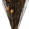 Vickerman 36"-40" Bell Grass with Seed Pods, Preserved - 2 of 4