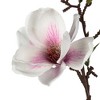 Vickerman 14" Artificial White Magnolia Pick. - 3 of 4