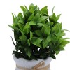 Unique Bargains Artificial Plants Plastic Green 3.74"x3.74"x9.06" 1 Pc - 4 of 4