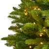 Nearly Natural 4-ft Sierra Spruce Natural Look Artificial Christmas Tree with 150 Clear LED Lights - 3 of 4