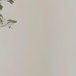 beige black
