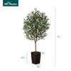 DR.Planzen 72" Artificial Olive Tree with Real Wood Branches - 6FT UV Resistant Indoor/Outdoor Fake Plant in 15.7" Planter (B/W/Coffee) - 3 of 4