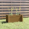 vidaXL Garden Planter Honey 60 x 31 x 31 cm Solid Pine - 2 of 4